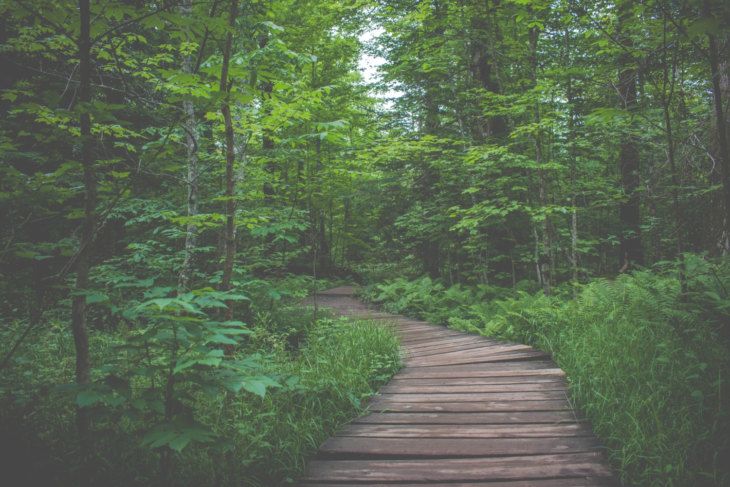 beautiful-local-hikes-near-portland-maine-cumberland-crossing-by